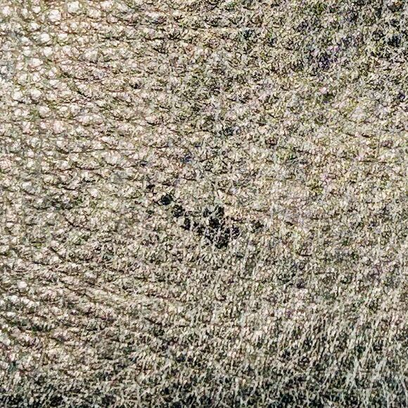 Fossil Metallic Leather Pouch 6” x 3.5” - Picture 8 of 11